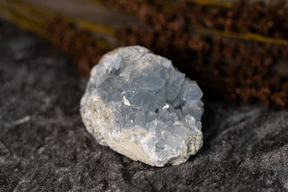 Celestin - kluster B