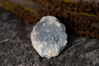 Celestin - kluster B