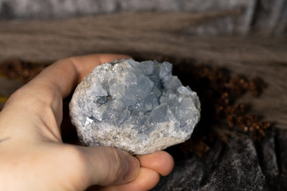 Celestin - kluster B