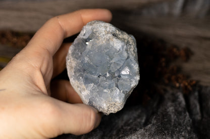 Celestin - kluster B