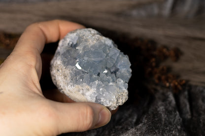 Celestin - kluster B