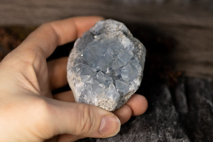 Celestin - kluster B