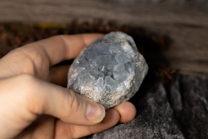 Celestin - kluster B