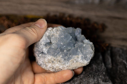 Celestin - kluster B