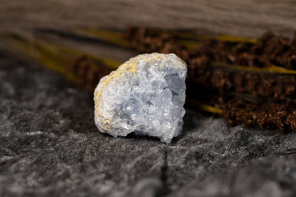 Celestin - kluster C