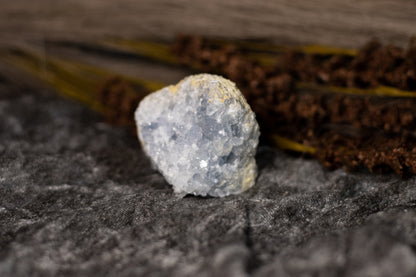 Celestin - kluster C