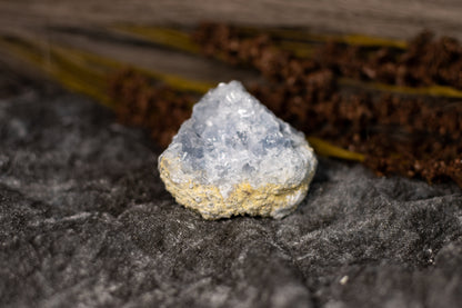 Celestin - kluster C