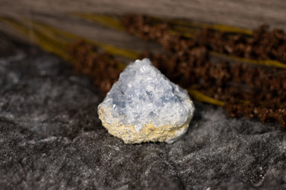 Celestin - kluster C