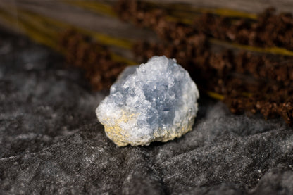 Celestin - kluster C