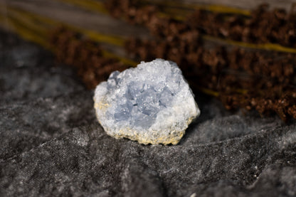 Celestin - kluster C