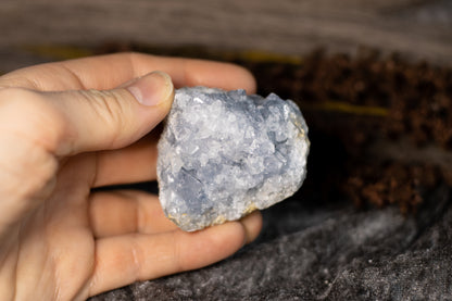 Celestin - kluster C