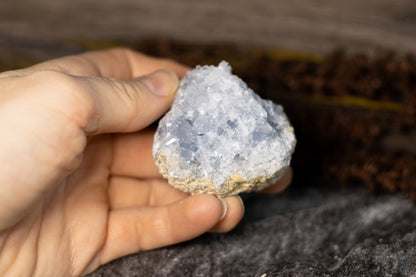 Celestin - kluster C