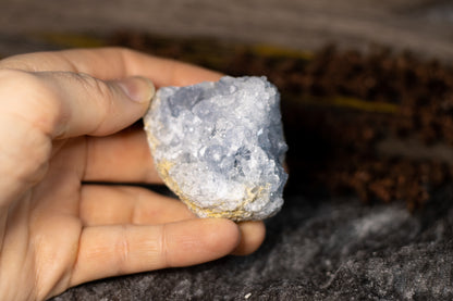 Celestin - kluster C