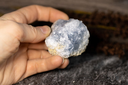 Celestin - kluster C