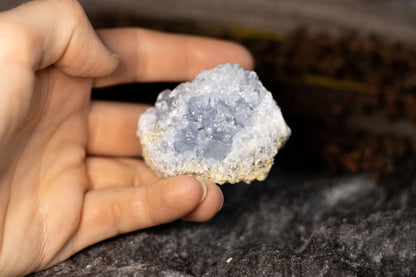 Celestin - kluster C