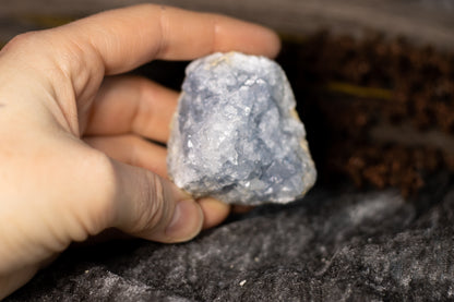 Celestin - kluster C