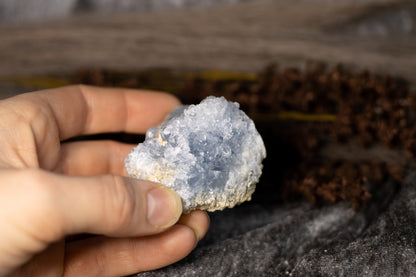 Celestin - kluster C