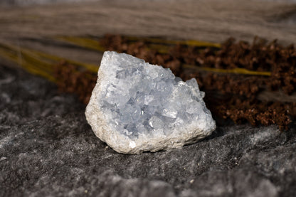 Celestin - kluster D