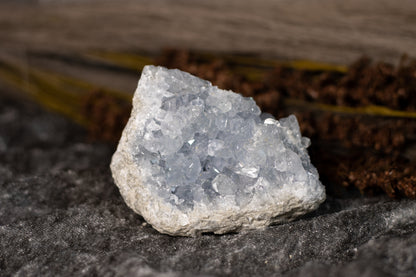 Celestin - kluster D