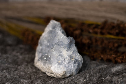 Celestin - kluster D