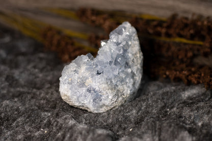 Celestin - kluster D