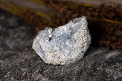 Celestin - kluster D