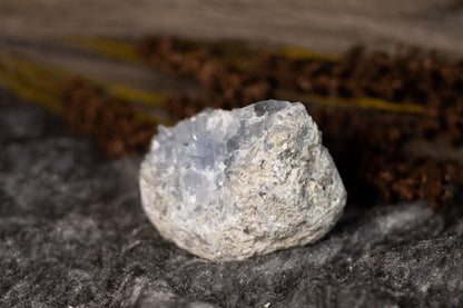 Celestin - kluster D