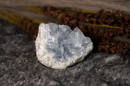 Celestin - kluster D