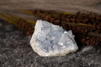 Celestin - kluster D