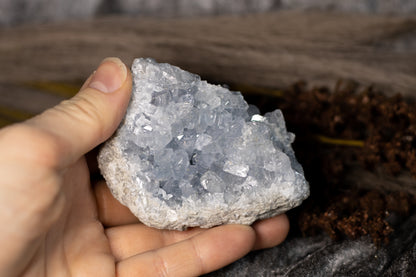 Celestin - kluster D