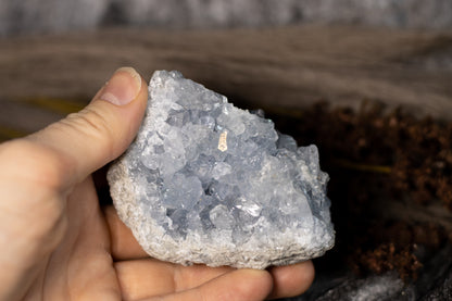 Celestin - kluster D