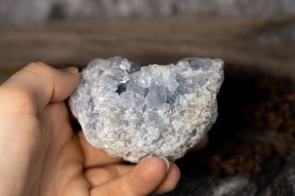 Celestin - kluster D