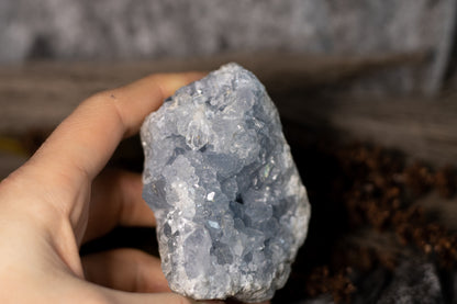 Celestin - kluster D