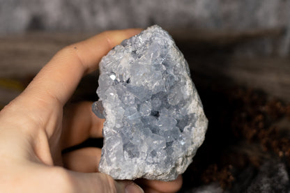 Celestin - kluster D