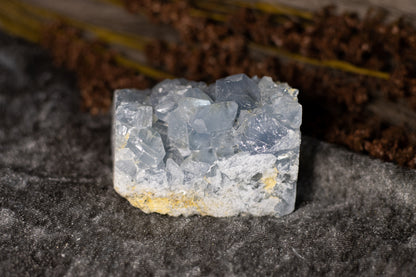 Celestin - kluster F