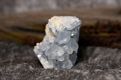 Celestin - kluster F