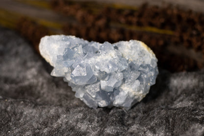 Celestine - cluster G