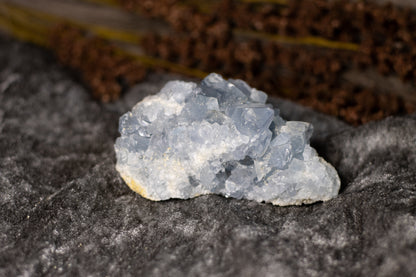 Celestine - cluster G