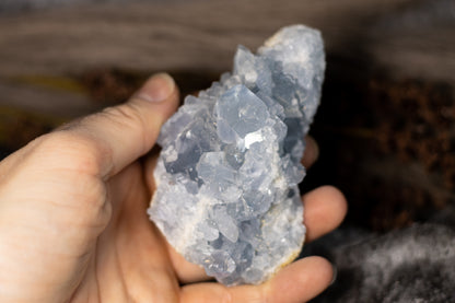 Celestine - cluster G