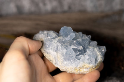 Celestine - cluster G