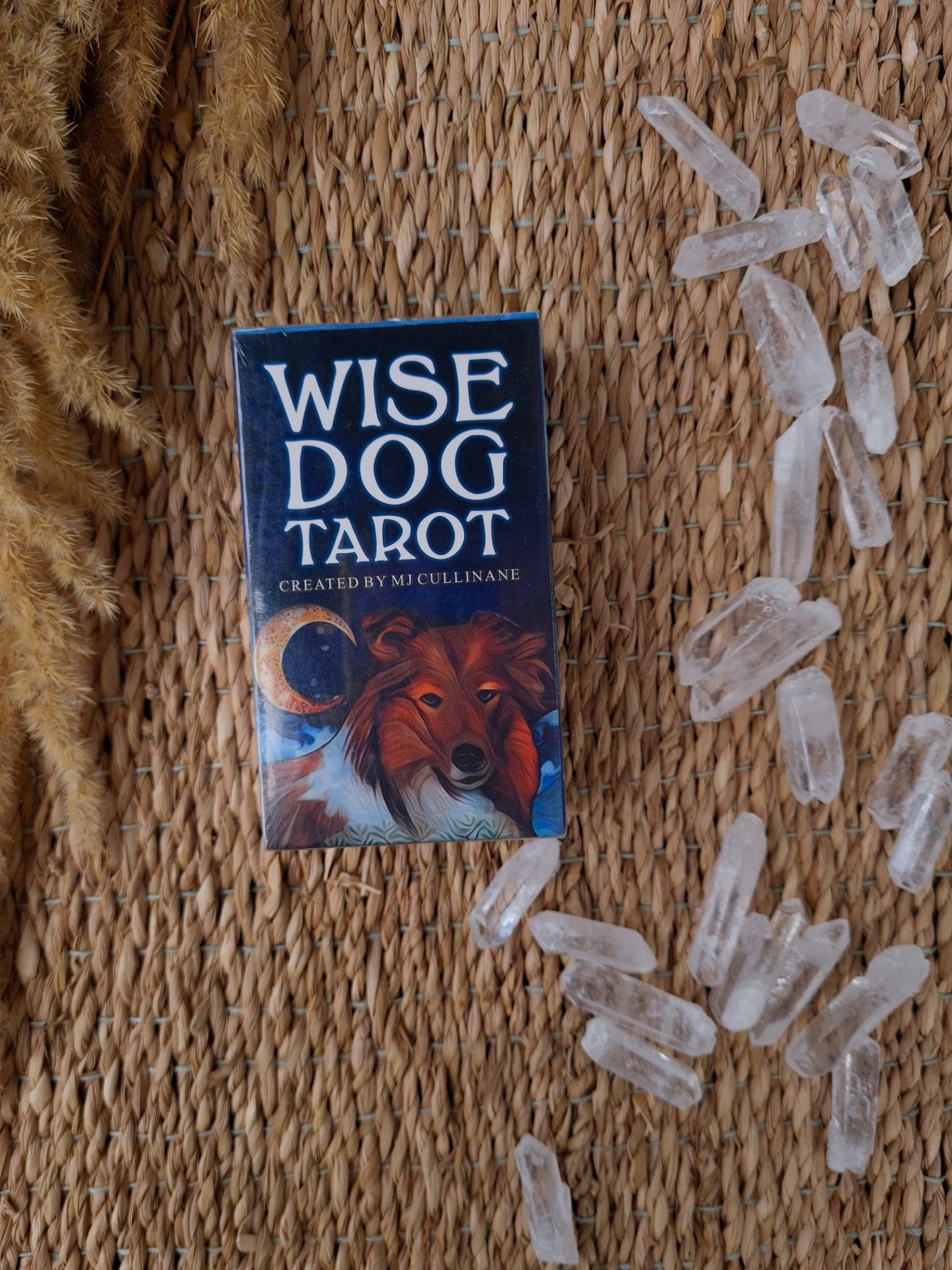 Wise dog tarot