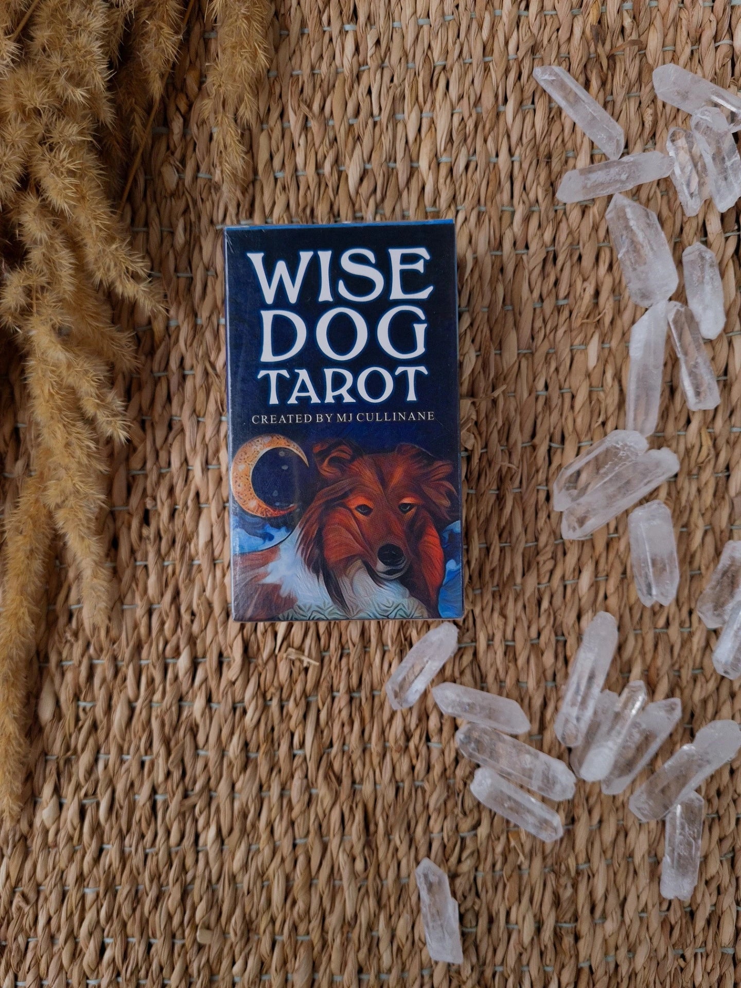 Wise dog tarot