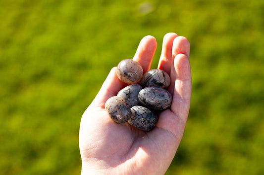 Black tourmaline in quartz - tumbled