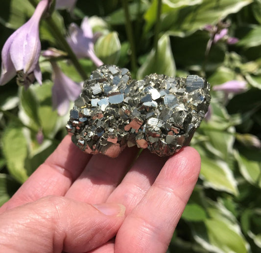 Pyrite - cluster