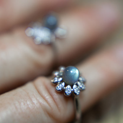 Labradorit - S925 ring