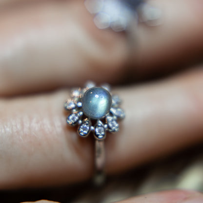 Labradorit - S925 ring