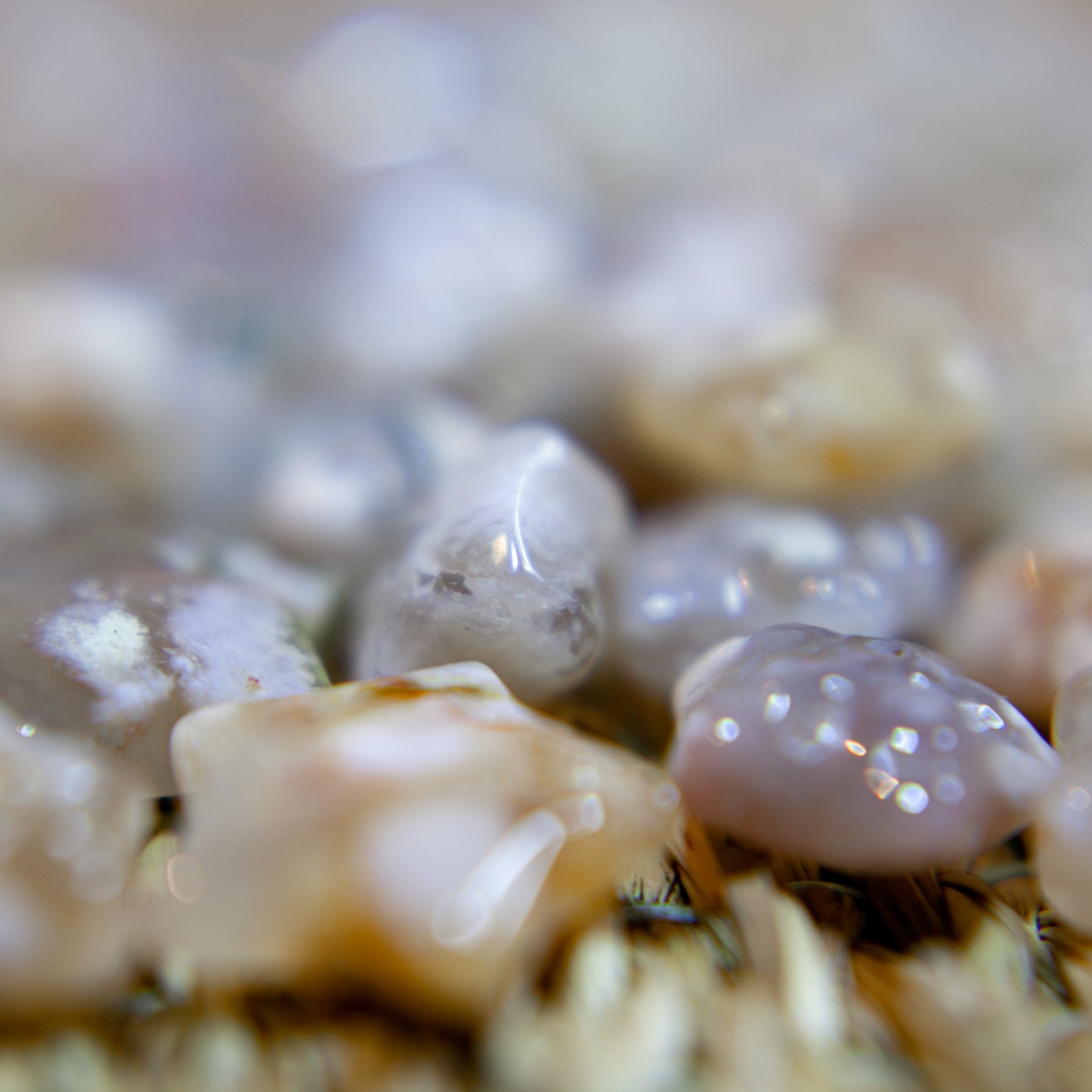 Flower agate - starfish carving